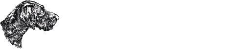 Logo Deutsch Drahthaar Mittelrhein